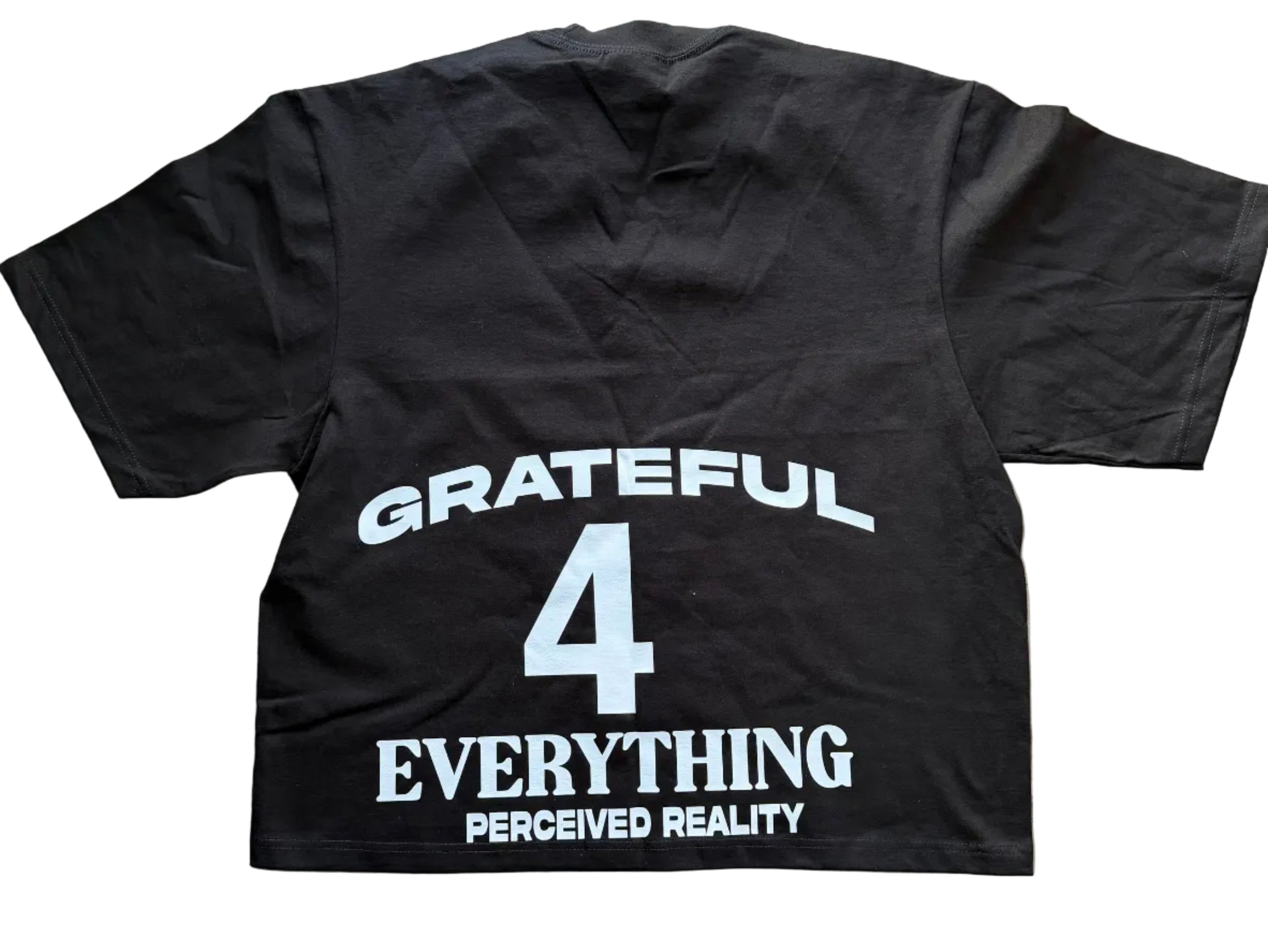 "GRATEFUL 4 EVERYTHING" T-Shirt ~ Perceived Reality